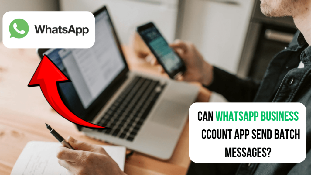 Can WhatsApp Business Account App Send Batch Messages? 3 Powerful Features to Supercharge Your Messaging